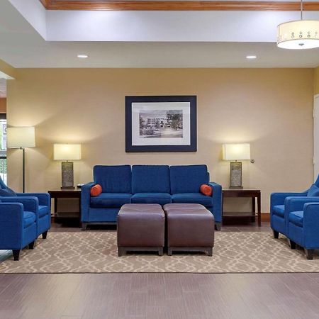 Comfort Suites Johnson City Near University Экстерьер фото