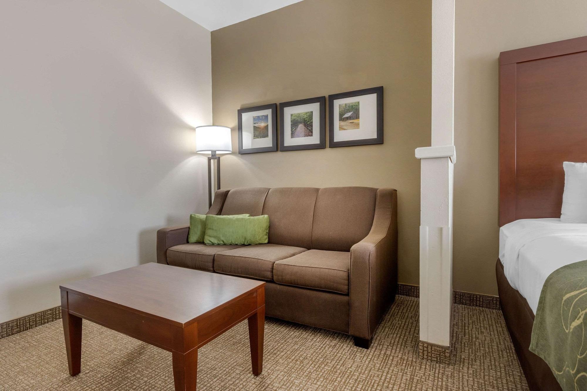 Comfort Suites Johnson City Near University Экстерьер фото