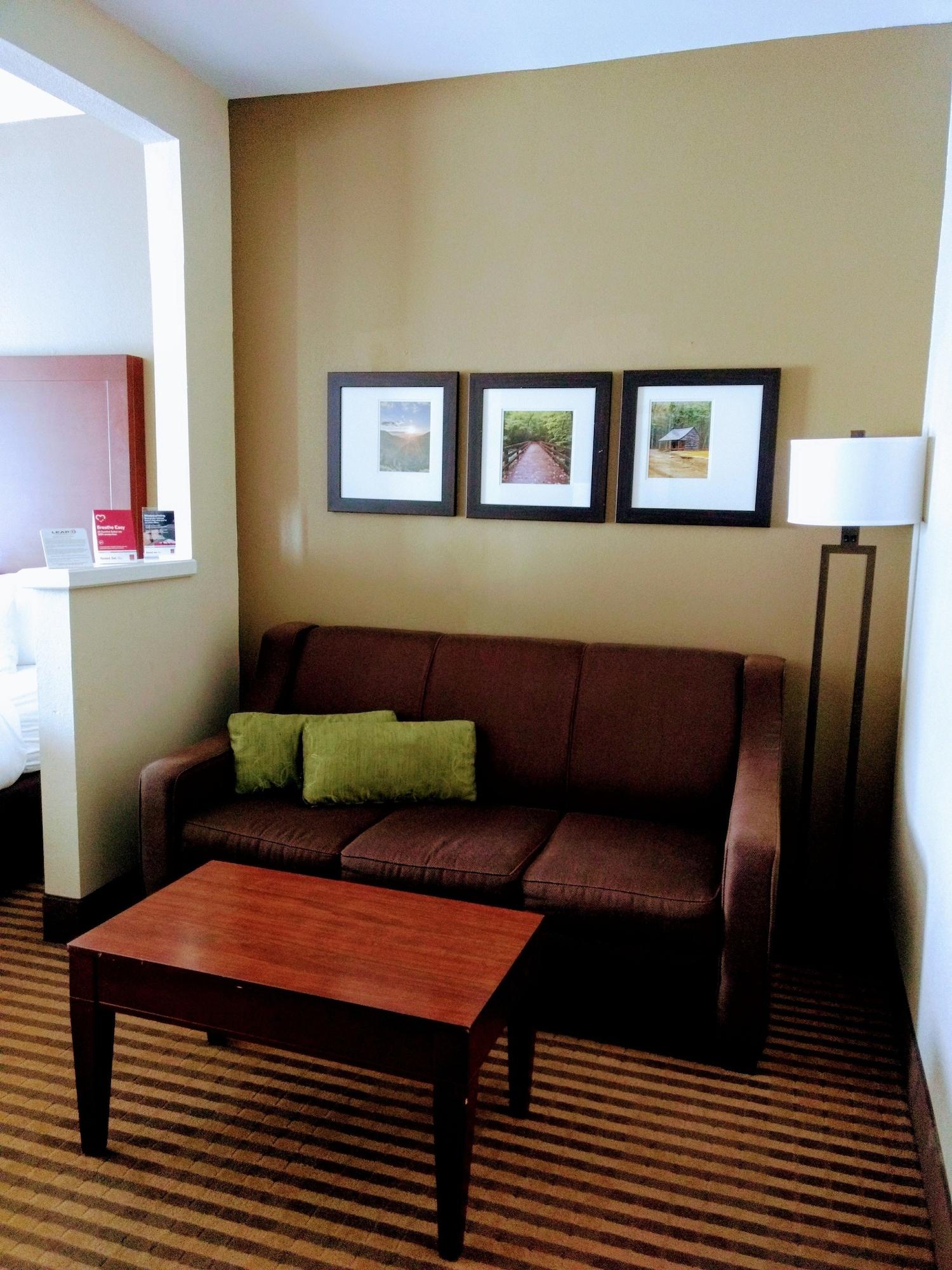 Comfort Suites Johnson City Near University Экстерьер фото
